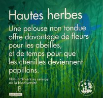 Hautes herbes