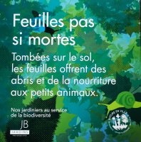 Feuilles pas si mortes