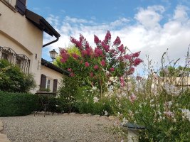 Entretien de jardin privatif